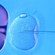 Image for article titled The first three-parent babies could soon be born